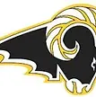 Ankeny Centennial High School Football opponent